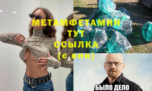 индика Бородино